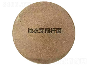 ����ѿ�ߗU��-�P����