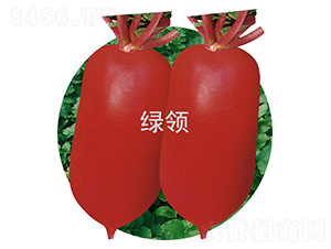 �ļt3̖-�}���N��-�G�I(l��ng)�N�I(y��)