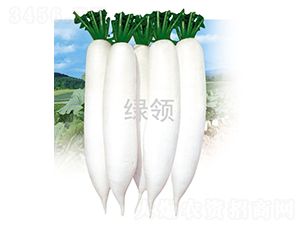 �İ�1̖-�}���N��-�G�I(l��ng)�N�I(y��)