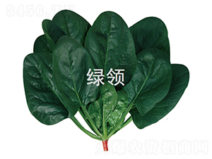 ī�G1805-���˷N��-�G�I(l��ng)�N�I(y��)