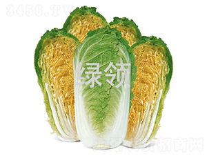 ���-�ײ˷N��-�G�I(l��ng)�N�I(y��)