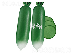 ������-�}���N��-�G�I�N�I(y��)