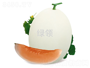 L-1548-��ϷN��-�G�I(l��ng)�N�I(y��)