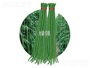 JK23-���ǷN��-�G�I(l��ng)�N�I(y��)