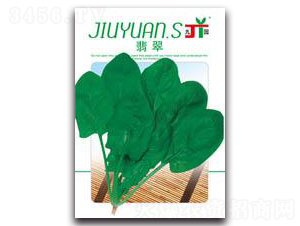 ���-���˷N��-�����Z