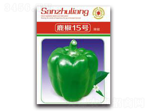 ¹��15̖����-�����N��-�����Z