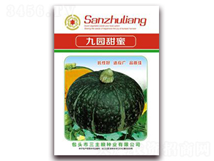 �ň@����-�ϹϷN��-�����Z