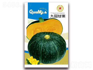 �ň@����-�ϹϷN��-�����Z