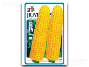 ��ճһ̖(h��o)-Ŵ���׷N��-�����Z