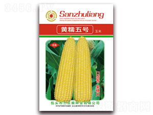 �SŴ��̖(h��o)-Ŵ���׷N��-�����Z