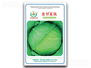 ����Ŀ�-���{(l��n)�N��-���ٷN��