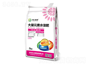 ����Ԫ��ˮ�ܷ���12-6-40+TE-�������r(n��ng)-���ʼ��F(tu��n)