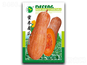 �۱��Ϲ�-�ϹϷN��-���S�N�I(y��)