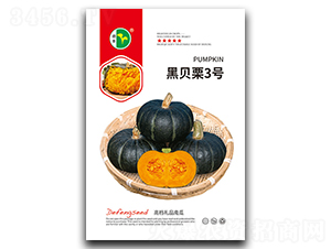 ��ؐ��3̖(h��o)-�ϹϷN��-���S�N�I(y��)