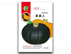 ������-�ϹϷN��-���S�N�I(y��)