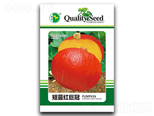 �����t�޹�-�ϹϷN��-���S�N�I(y��)