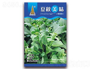 ������ζ-���̦�N��-�н��r(n��ng)�I(y��)