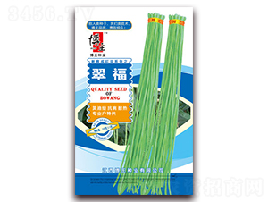 �丣-�����N��-����