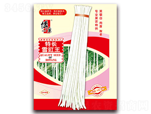 ���Lѩ����-�����N��-����