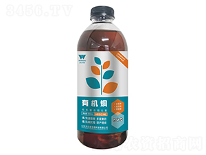 �ЙC(j��)�~-�֠���(y��u)