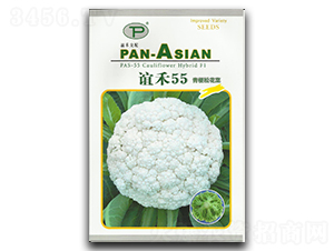 �x��55-�ɻ��˷N��-�x��