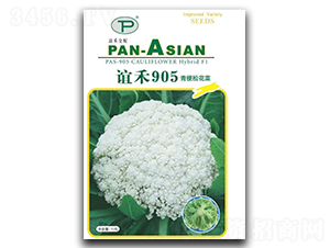 �x��905-�ɻ��˷N��-�x��