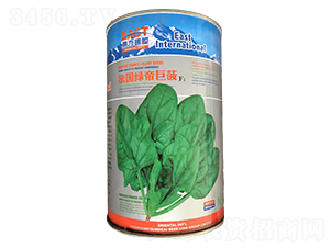 �����G�۾޲������b��-���˷N��-�����_(d��)