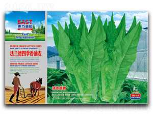 ���m���ļ�������-�����˷N��-�����_