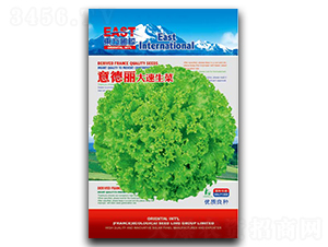 �������������-���˷N��-�����_