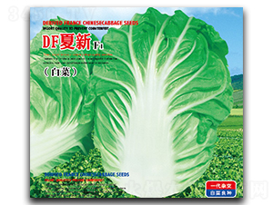 DF����-�ײ˷N��-�����_(d��)