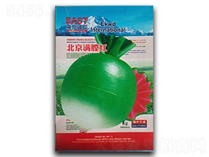 �����M�üt-�}���N��-�����_(d��)