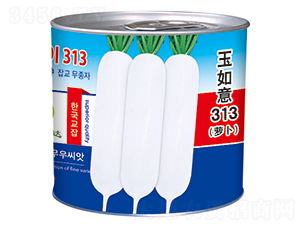 ������313���ޣ�-���}���N��-�����_(d��)