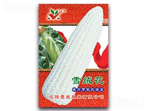 ѩ�q��-Ŵ���׷N��-�S�r(n��ng)�r(n��ng)�I(y��)