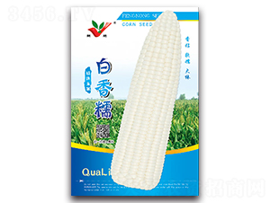 ����Ŵ-Ŵ���׷N��-�S�r(n��ng)�r(n��ng)�I(y��)