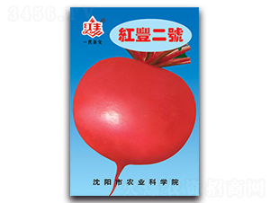 �t�S��̖(h��o)-�}���N��-�S�r(n��ng)�r(n��ng)�I(y��)