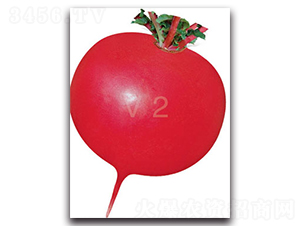 �S�r(n��ng)�tv2-�}���N��-�S�r(n��ng)�r(n��ng)�I(y��)