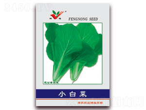 С�ײ�-�ײ˷N��-�S�r(n��ng)�r(n��ng)�I(y��)