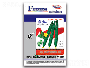 ¶��F1-�S�ϷN��-�S�r�r�I(y��)