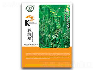 �Ƽ{��-�S�ϷN��-�S�r�r�I(y��)