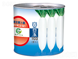 ������103���ޣ�-���}���N��-�����_