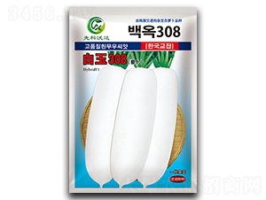 ����308-���}���N��-�����_