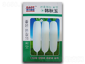 �n����-���}���N��-�����_