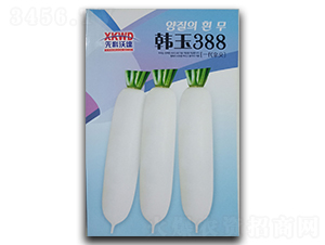 �n��388-���}���N��-�����_