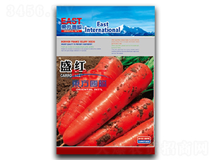 ʢ�t-���}���N��-�����_