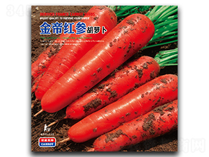 ��ۼt��-���}���N��-�����_