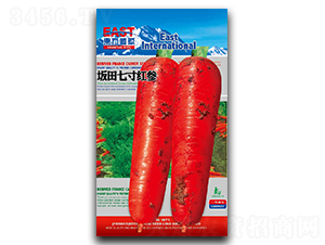 �����ߴ�t-���}���N��-�����_