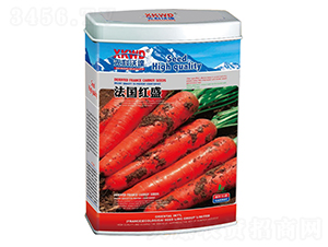 �����tʢ���ޣ�-���}���N��-�����_