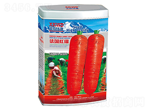 �����t�𣨹ޣ�-���}���N��-�����_