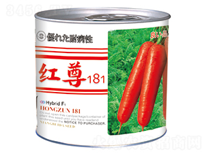 �t��181���ޣ�-���}���N��-�����_