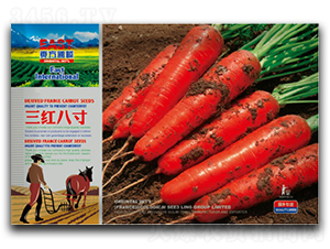 ���t�˴�-���}���N��-�����_(d��)